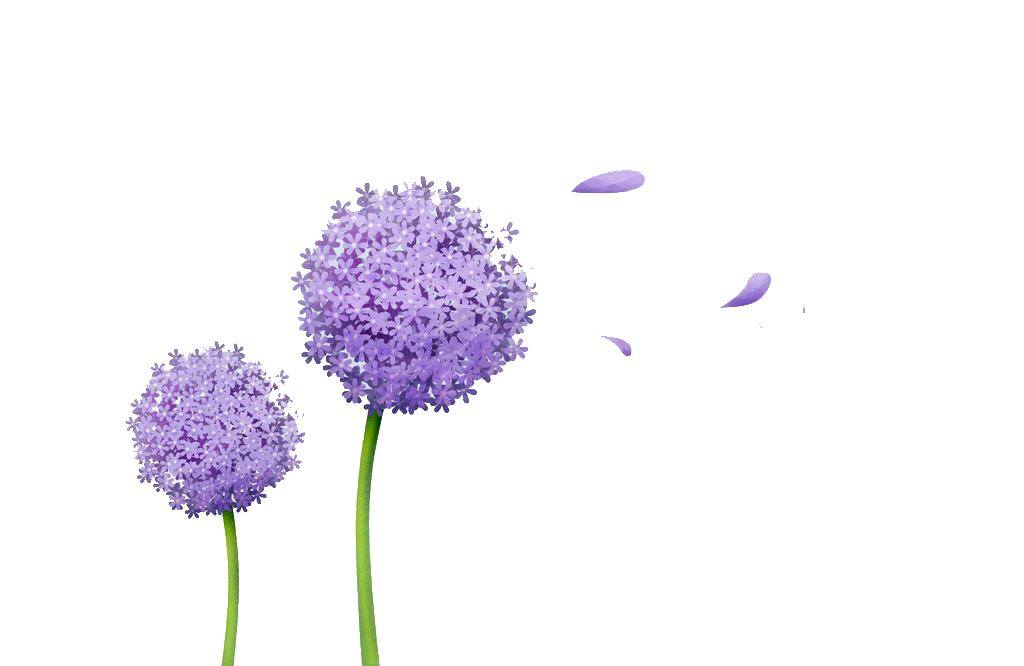 Bottom left flower